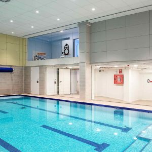 Penguins pool
